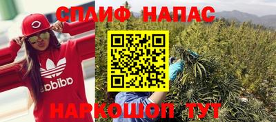 твердый Будённовск