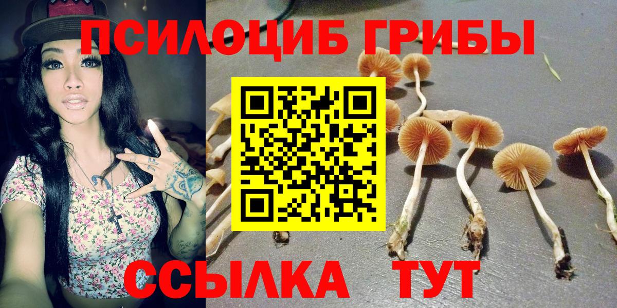 Галлюциногенные грибы Magic Shrooms  Вход с VPN  Галлюциногенные грибы мицелий  Черняховск 